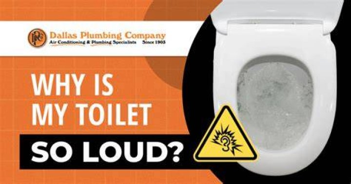 Why is my toilet loud all of a sudden?