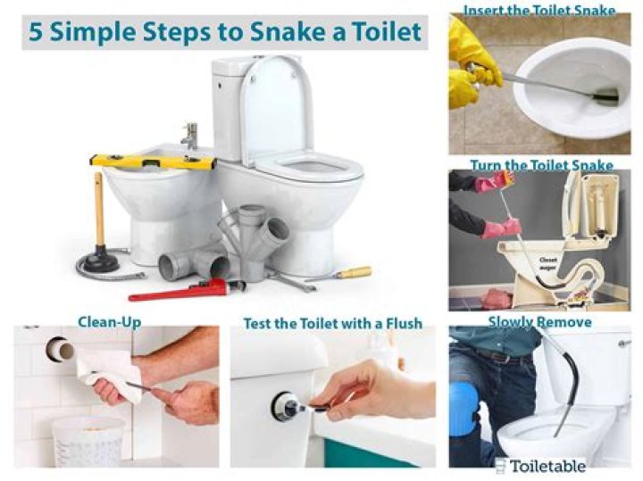 Why is my toilet snake not working?