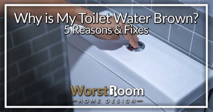 Why is my toilet water suddenly Brown?