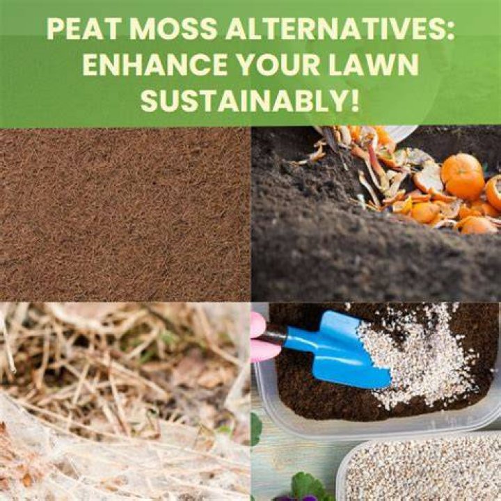 Why is peat moss being banned?