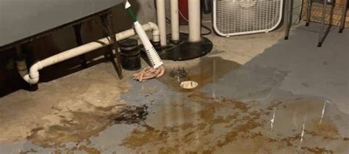 Why is poop coming out of my basement drain?