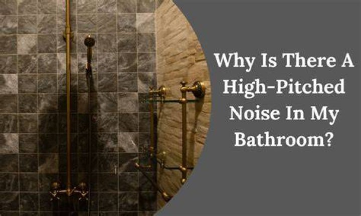 Why is there a high pitched noise in my bathroom?