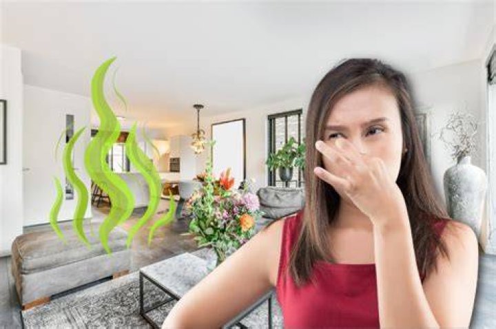 Why is there a strong smell in my house?