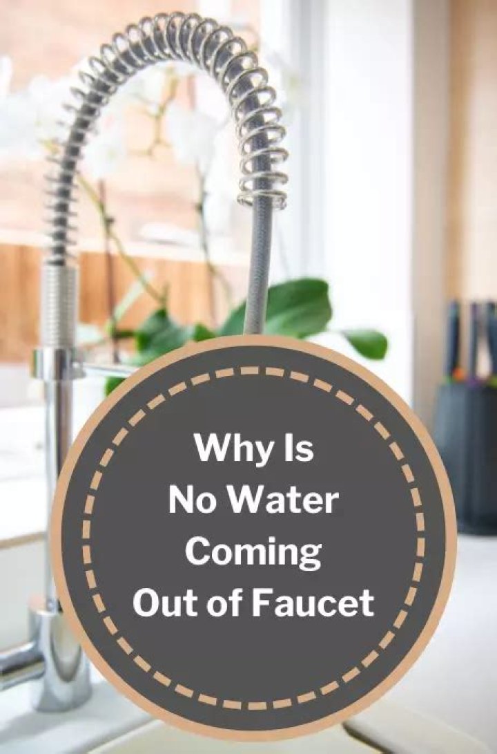 Why is there no water coming out of my kitchen faucet?