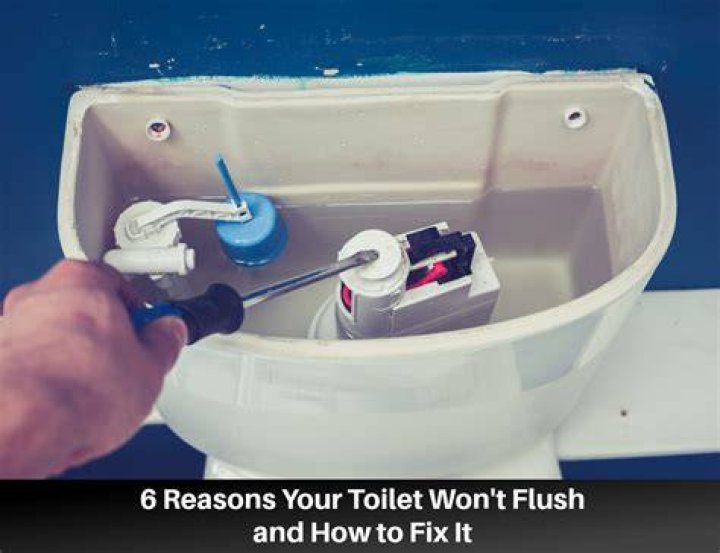Why will my toilet flush but not drain?