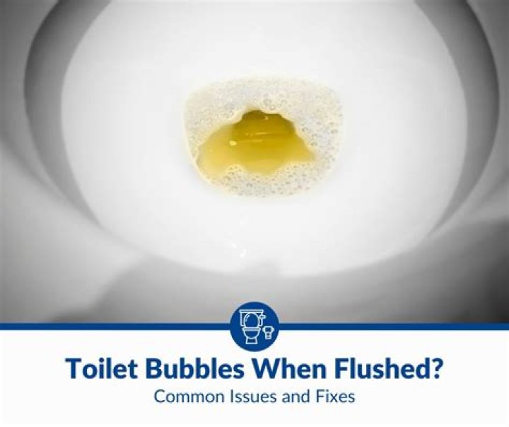 Why would air bubbles come up in the toilet?